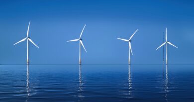Serene landscape of offshore wind turbines reflecting on calm ocean water.