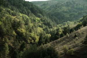 Beyond Visual Line of Sight: The Next Frontier for Autonomous Drone Operations