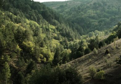 Beyond Visual Line of Sight: The Next Frontier for Autonomous Drone Operations