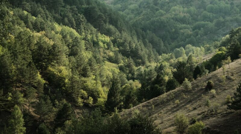 Beyond Visual Line of Sight: The Next Frontier for Autonomous Drone Operations